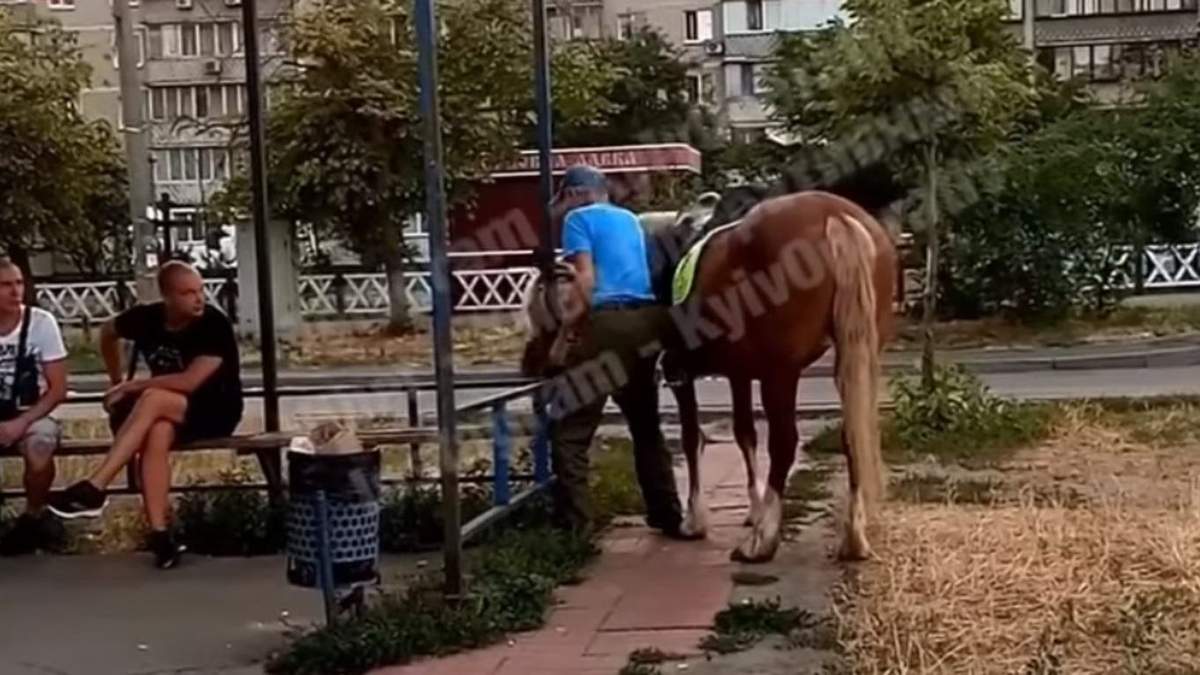 Чоловік прив'язав коня і пішов до крамниці Чоловік прив'язав коня і пішов до крамниці